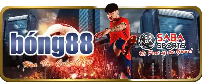 Quản lý tài khoản cá nhân hm888 chính thức